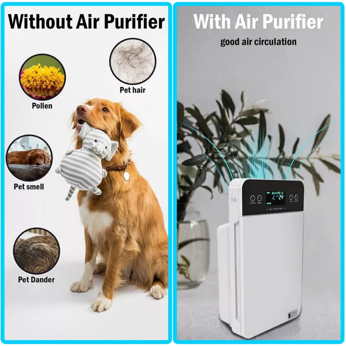 PureAir Healing Purifier ™ Zumee